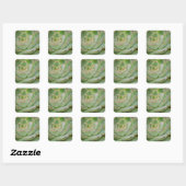 Succulenten Vierkante Sticker (Vel)