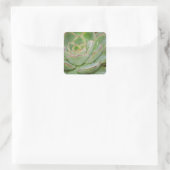 Succulenten Vierkante Sticker (Tas)
