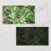 Succulenten Visitekaartje (Voorkant / Achterkant)