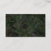 Succulenten Visitekaartje (Achterkant)
