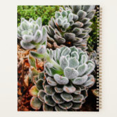 Succulenten wekelijkse maandelijkse gepersonalisee planner (Achterkant)