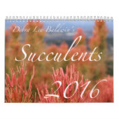 Succulents 2016 Calendar by Debra Lee Baldwin Kalender (Hoes)