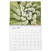 Succulents 2016 Calendar by Debra Lee Baldwin Kalender (Jan 2027)