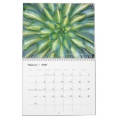 Succulents 2016 Calendar by Debra Lee Baldwin Kalender (Feb 2027)