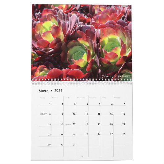 Succulents 2018 Kalender van Debra Lee Baldwin (Mar 2026)