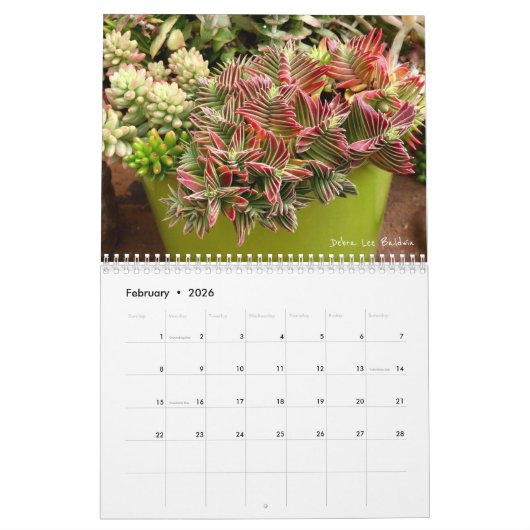 Succulents 2018 Kalender van Debra Lee Baldwin (Feb 2026)