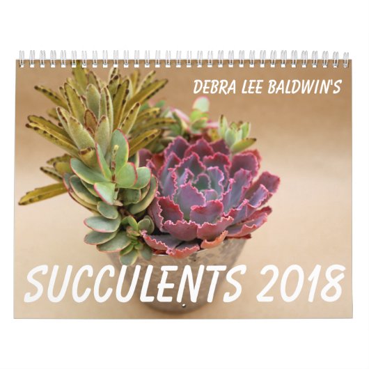 Succulents 2018 Kalender van Debra Lee Baldwin (Hoes)