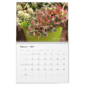 Succulents 2018 Kalender van Debra Lee Baldwin (Feb 2027)