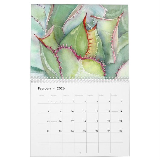 Succulents 2020 Kalender van Debra Lee Baldwin (Feb 2026)