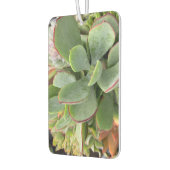 Succulents Air Freshener Luchtverfrisser (Links)