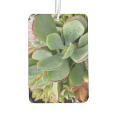 Succulents Air Freshener Luchtverfrisser (Achterkant)