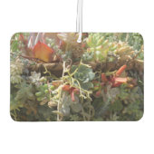 Succulents Air Freshener Luchtverfrisser (Achterkant)