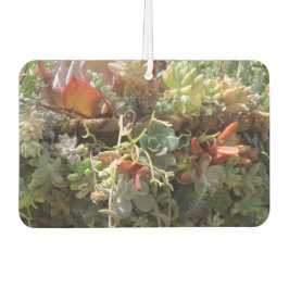 Succulents Air Freshener Luchtverfrisser