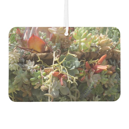 Succulents Air Freshener Luchtverfrisser (Voorkant)