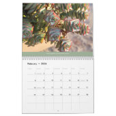 Succulents Calendar 2014 van Debra Lee Baldwin Kalender (Feb 2026)