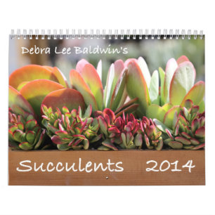Succulents Calendar 2014 van Debra Lee Baldwin Kalender