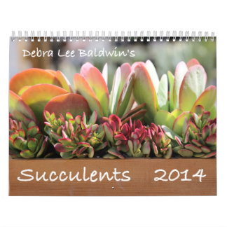Succulents Calendar 2014 van Debra Lee Baldwin Kalender