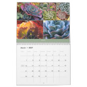 Succulents Calendar 2014 van Debra Lee Baldwin Kalender (Mar 2027)