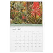 Succulents Calendar 2014 van Debra Lee Baldwin Kalender (Jan 2027)