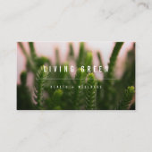 Succulents Grass Minimalist Photo Spa Wellness Visitekaartje (Voorkant)