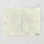 Succulents Post Card Briefkaart (Achterkant)