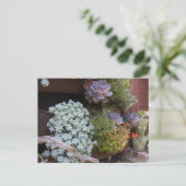 Succulents Postcard Briefkaart (Staand voorkant)