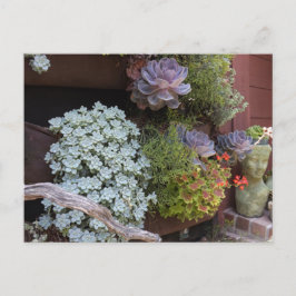 Succulents Postcard Briefkaart