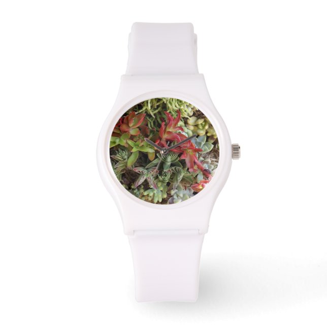 Succulents Watch Horloge (Voorkant)