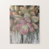 Succulerend Plant op driftwood Legpuzzel (Verticaal)