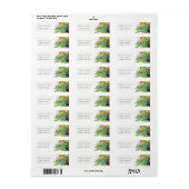 SUCCULT CACTUS FLORAL GARDEN WATERVERF ADRES ETIKET (Full Sheet)