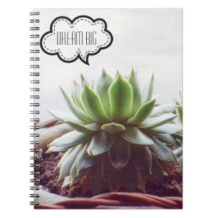 Succulte Aeonium Dream Big Quote Notitieboek