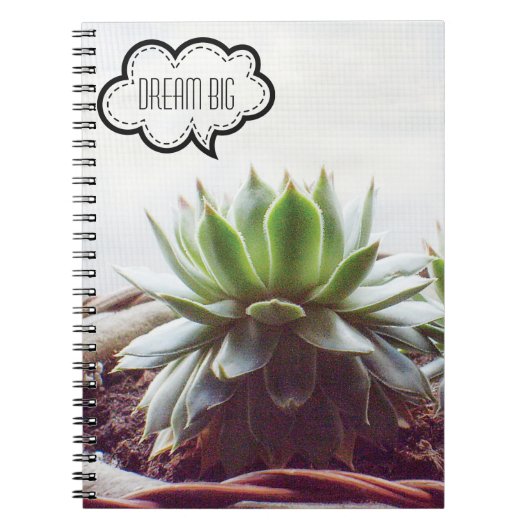 Succulte Aeonium Dream Big Quote Notitieboek (Voorkant)