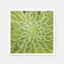 Succulte papieren servetten