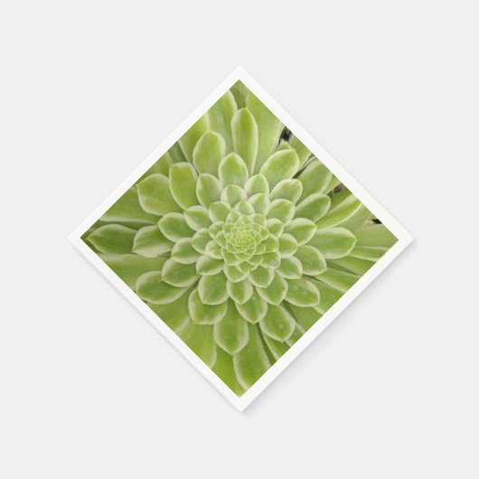 Succulte papieren servetten (Hoek)
