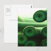 Suckers Briefkaart (Voorkant / Achterkant)