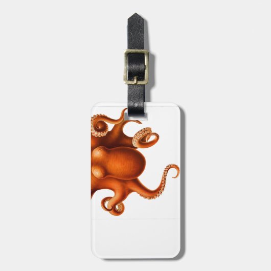 Suckers en zie bagagelabel (Voorkant verticaal)