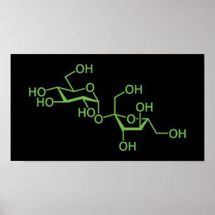 Sucrose Suiker Molecuul Chemisch Diagram Poster