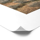 Sudden Downpour Poster (Hoek)