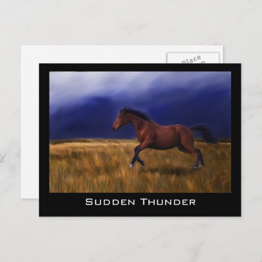 Sudden Thunder Horse Art Briefkaart (Voorkant / Achterkant)
