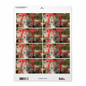 Suehiro Ogami Shrine (Fortune Frog Shrine) Etiket (Full Sheet)