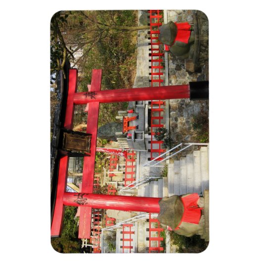 Suehiro Ogami Shrine (Fortune Frog Shrine) Magneet (Verticaal)