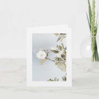 Sueños de Puerto Rico Bedankkaart