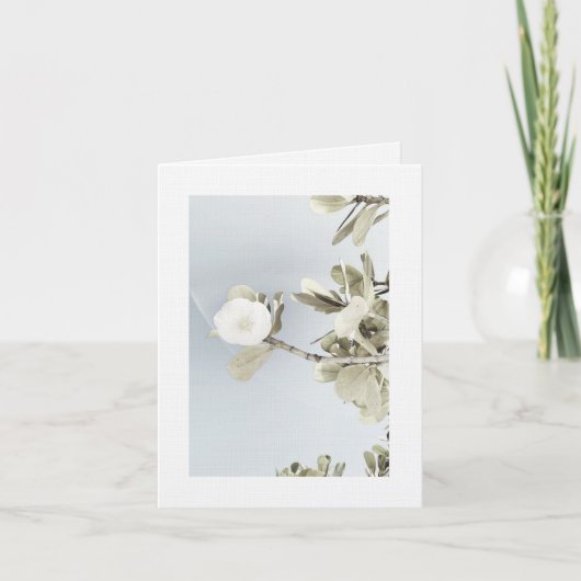 Sueños de Puerto Rico Bedankkaart (Voorkant)