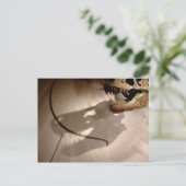 Sue's Shadow Briefkaart (Staand voorkant)