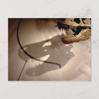Sue's Shadow Briefkaart