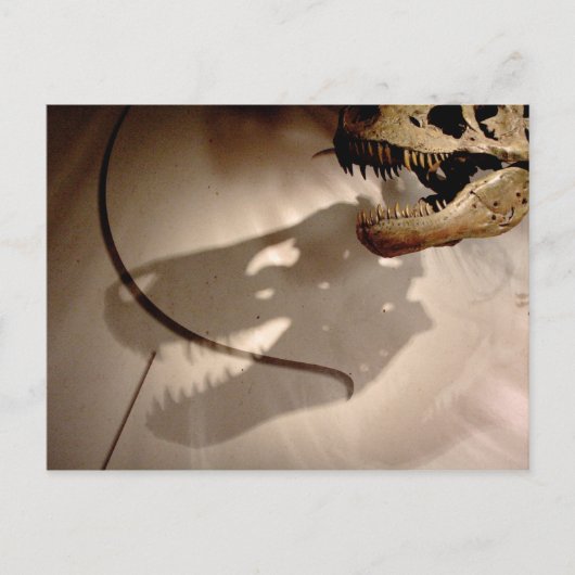 Sue's Shadow Briefkaart (Voorkant)