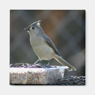 Suet Super Magneet