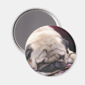 Suf Pug Magneet (Voorkant / Achterkant)