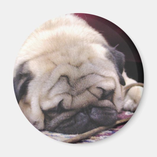 Suf Pug Magneet (Voorkant)