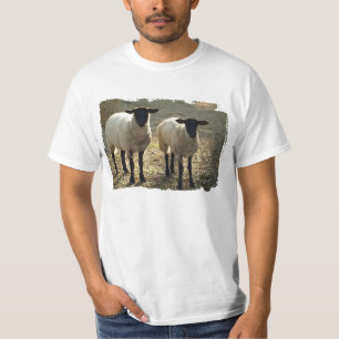 Suffolk-schapen in pastorale weide of boerenerfsce t-shirt